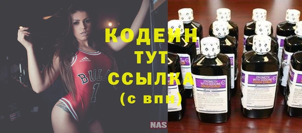 стаф Богданович