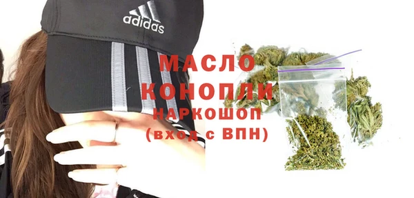стаф Богданович