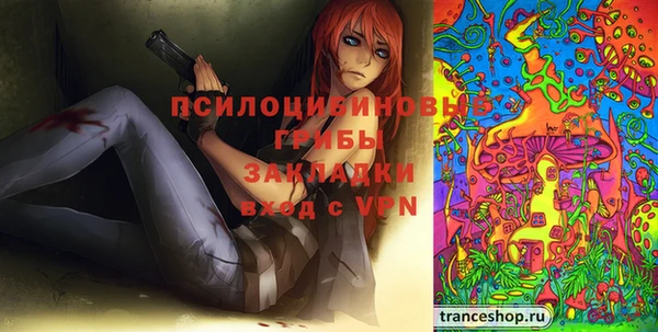 стаф Богданович