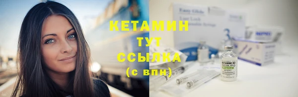 стаф Богданович
