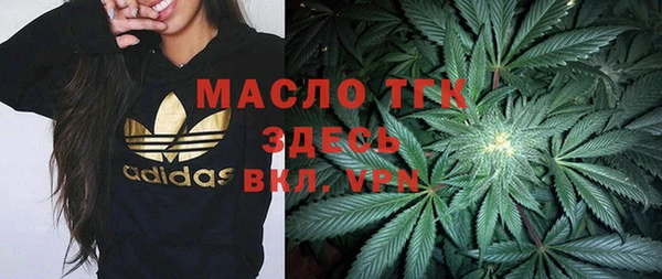 стаф Богданович