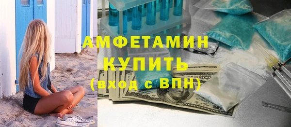 мдпв Богородск