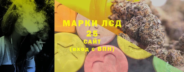стаф Богданович