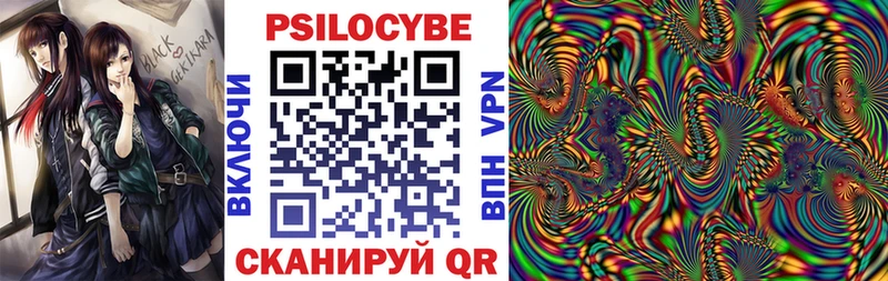 Галлюциногенные грибы Psilocybe  Купить  Буй 